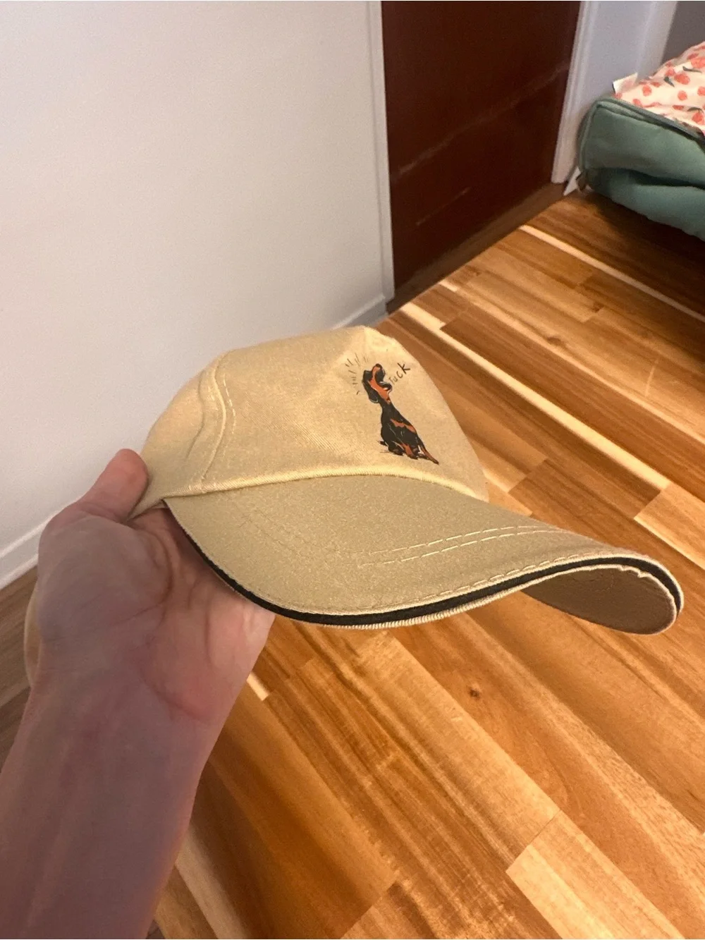Dachshund hat